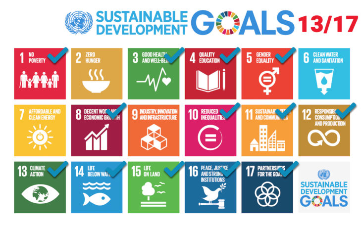 sustainable goals 13_17 sustainable goals 13_17