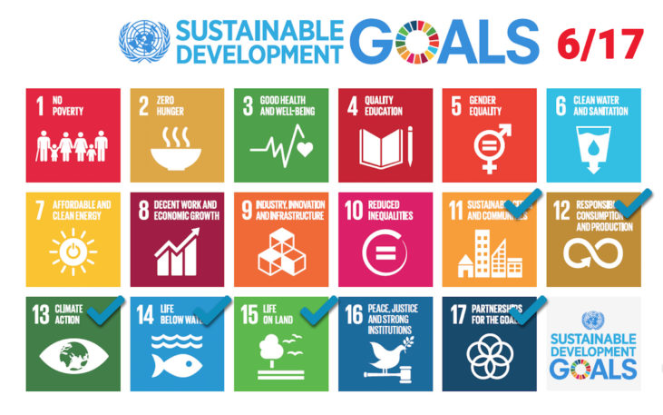 sustainable goals 6_17 sustainable goals 6_17